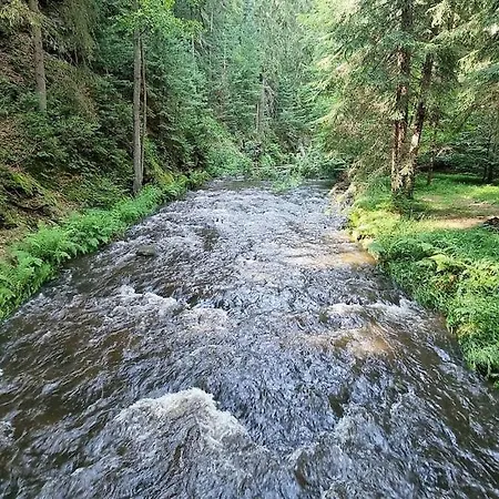 Right Next To The Forest With A Beautiful View Of The Valley *