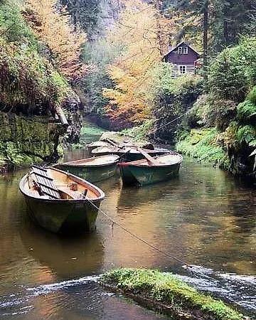 Right Next To The Forest With A Beautiful View Of The Valley *